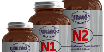 N1 N2 N3 Psikolojisi: Kanıtlanmış Temel Kavramlar [2026 Rehberi] - Kapak Görseli