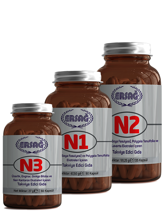 N1 N2 N3 Psikolojisi: Kanıtlanmış Temel Kavramlar [2026 Rehberi] - Kapak Görseli