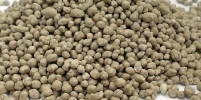 Narenciye İçin 3-15 Gübre Atımının Kanıtlanmış Zamanları [2026] - Kapak Görseli