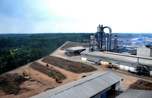 Ovemmak’ın Uzmanlık Alanları ve Çözümleri [2026] - Kapak Görseli