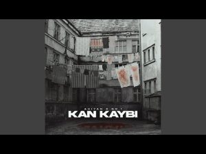 Oy Kaybının Kanıtlanmış Nedenleri ve Çözüm Yolları [2026] - Kapak Görseli