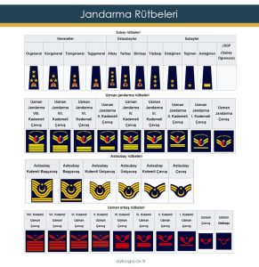 Rütbelerde Sıralama ve Uzman İpuçları [2026 Güncel Rehber] - Kapak Görseli