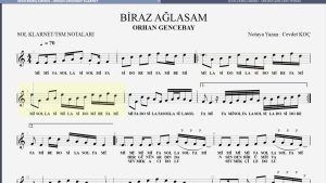 Sevecek Gibisin Şarkısının Sırrı ve Yazarı [Uzman Analizi 2026] - Kapak Görseli