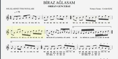 Sevecek Gibisin Şarkısının Sırrı ve Yazarı [Uzman Analizi 2026] - Kapak Görseli