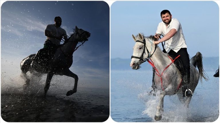 Seyis ve at bakıcısının farkları ve görevleri [Uzman Rehber] - Kapak Görseli