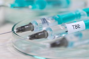 TBE Aşısı İçin Kesin Zamanlama ve Uzman İpuçları [2026] - Kapak Görseli