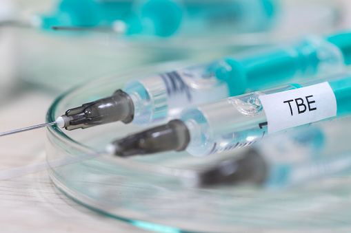 TBE Aşısı İçin Kesin Zamanlama ve Uzman İpuçları [2026] - Kapak Görseli